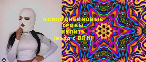 дмт Абаза
