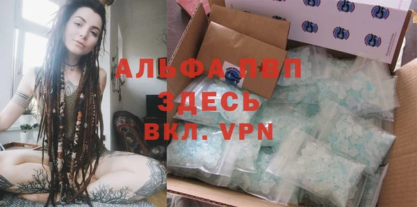 дмт Абаза