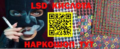 ГАЛЛЮЦИНОГЕННЫЕ ГРИБЫ Кингисепп