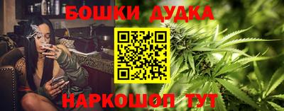 ГАЛЛЮЦИНОГЕННЫЕ ГРИБЫ Кингисепп