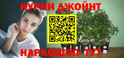 ГАЛЛЮЦИНОГЕННЫЕ ГРИБЫ Кингисепп