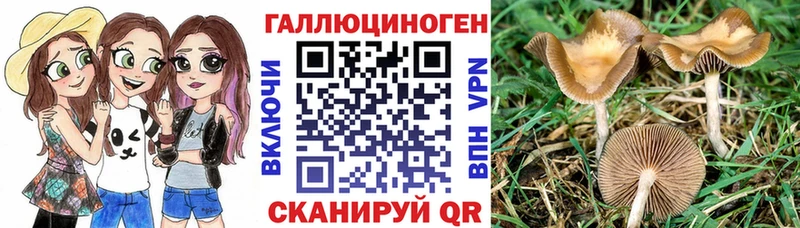 даркнет сайт  Красный Сулин  Галлюциногенные грибы Psilocybe 